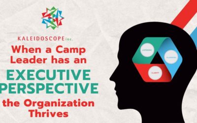 3 Core Practices of Executive Perspective
